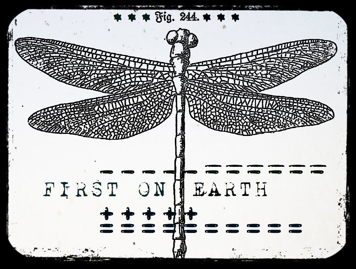 First on Earth Cling Rubber Stamp