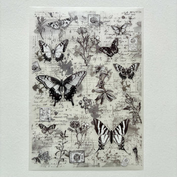 AALL & CREATE Rub-Ons: Lyrical Traces