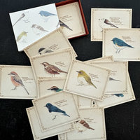 Vintage-Style Cards in Slide Box: Wild Birds 
