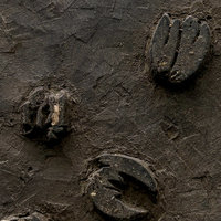 Vintage Print Block Large 4