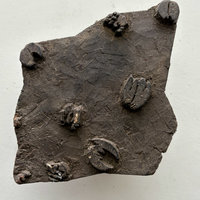 Vintage Print Block Large 4