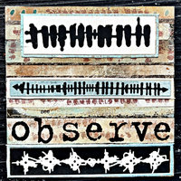 Sizzix Thinlet Dies: Borderlines