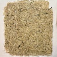 Natural Handmade Paper: Corn Husk