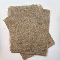 Natural Handmade Paper: Gladiolus Leaf 