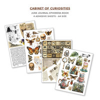 Ciao Bella Junk Journal Ephemera Book: Cabinet of Curiosities