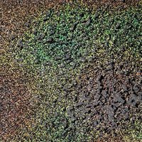 WOW Embossing Powder Quad: Forged Relics