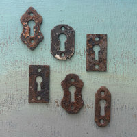 Vintage Rusty Escutcheon Plate l Set