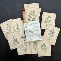 Vintage-Style Cards in Slide Box: Herbs 