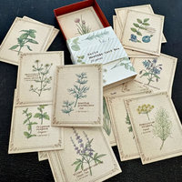 Vintage-Style Cards in Slide Box: Herbs 
