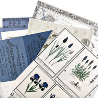49 and Market Collage Sheet Pack: Inkwell 