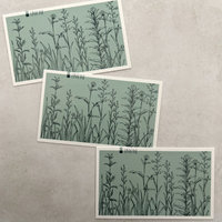 Botanical Collage Cards: Green Grass