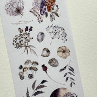 Lauren Phelps Designs Washi Bits: Mystery Night Elements