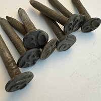 Antique Railroad Date Spikes: Set of 5