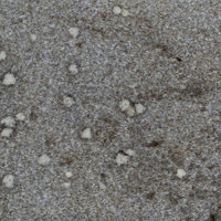 WOW Embossing Powder Duo: Smoked Parchment