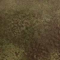 WOW Embossing Powder Set: Found in Nature