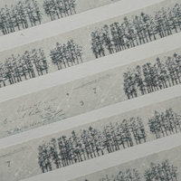 Yohaku Washi Tape: Hoshimeguri