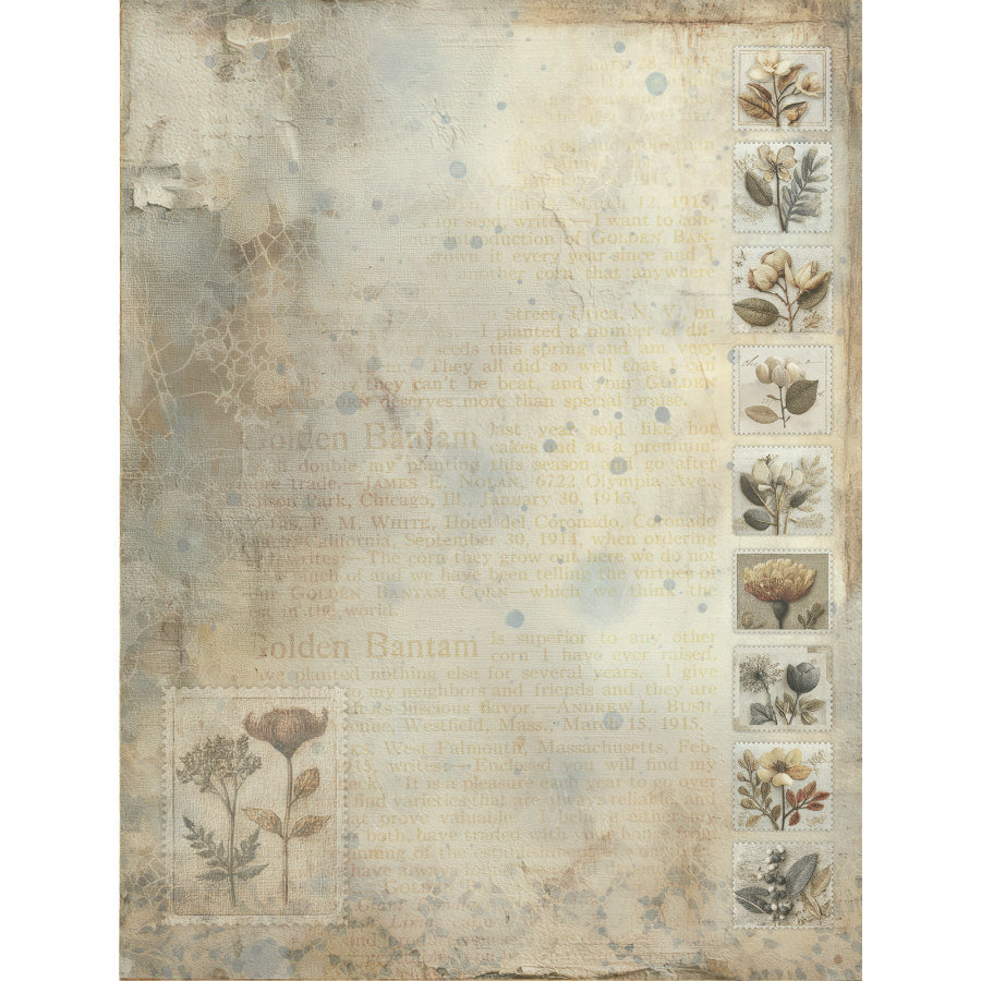 49 and Market Paper Pack: Faded Memory Lane 