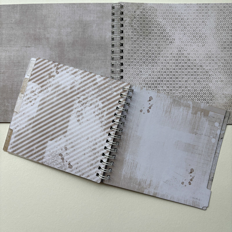 49 and Market 2-Pack Spiral Notebook: Nature Study