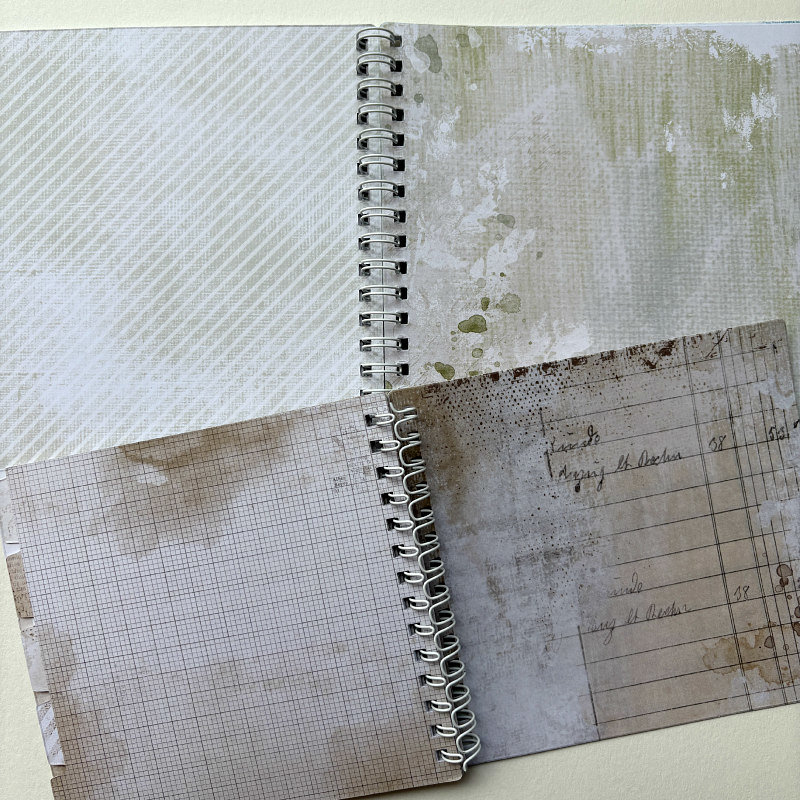 49 and Market 2-Pack Spiral Notebook: Nature Study