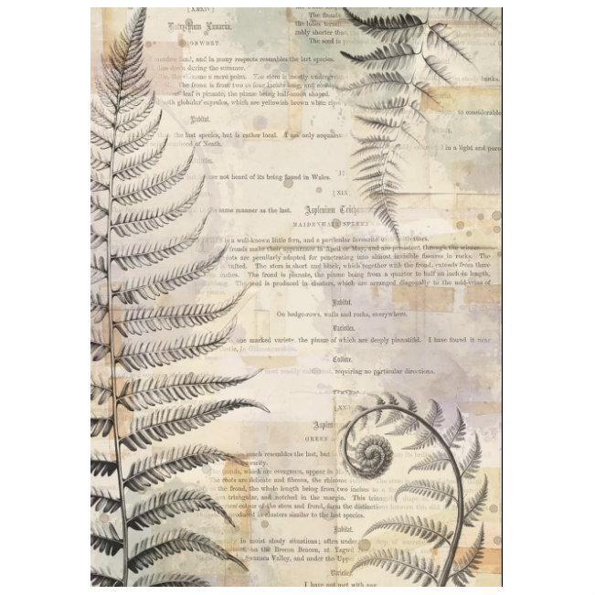7 Dots Studio Rice Paper: Botanica Nature Margin