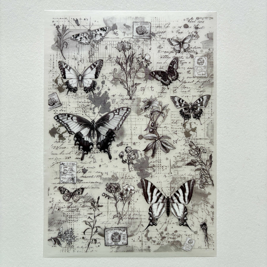 AALL & CREATE Rub-Ons: Lyrical Traces
