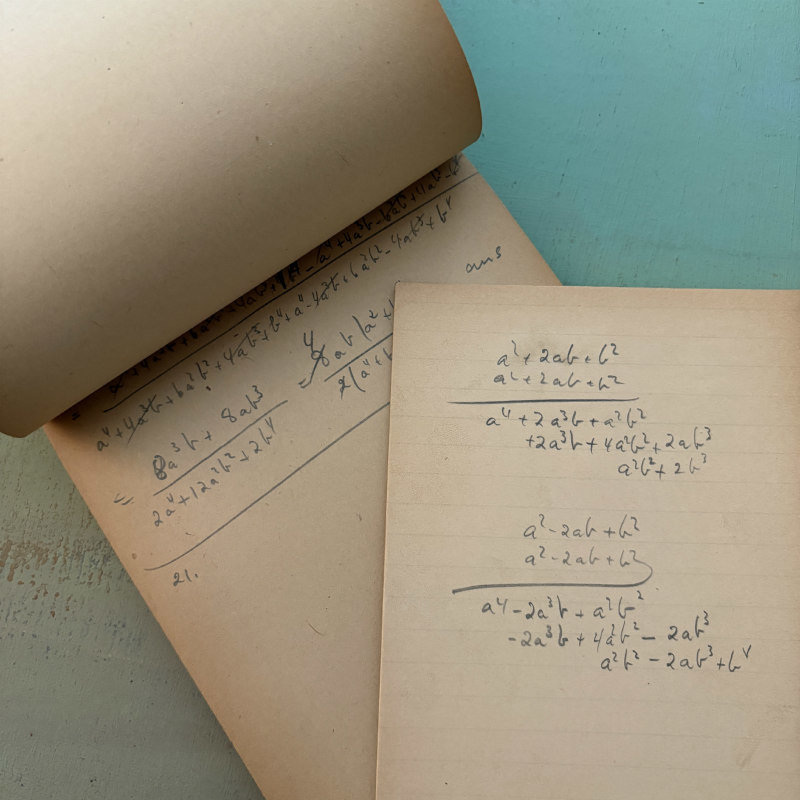 SOLD: 1907 Harvard Blue Book: Large Algebra