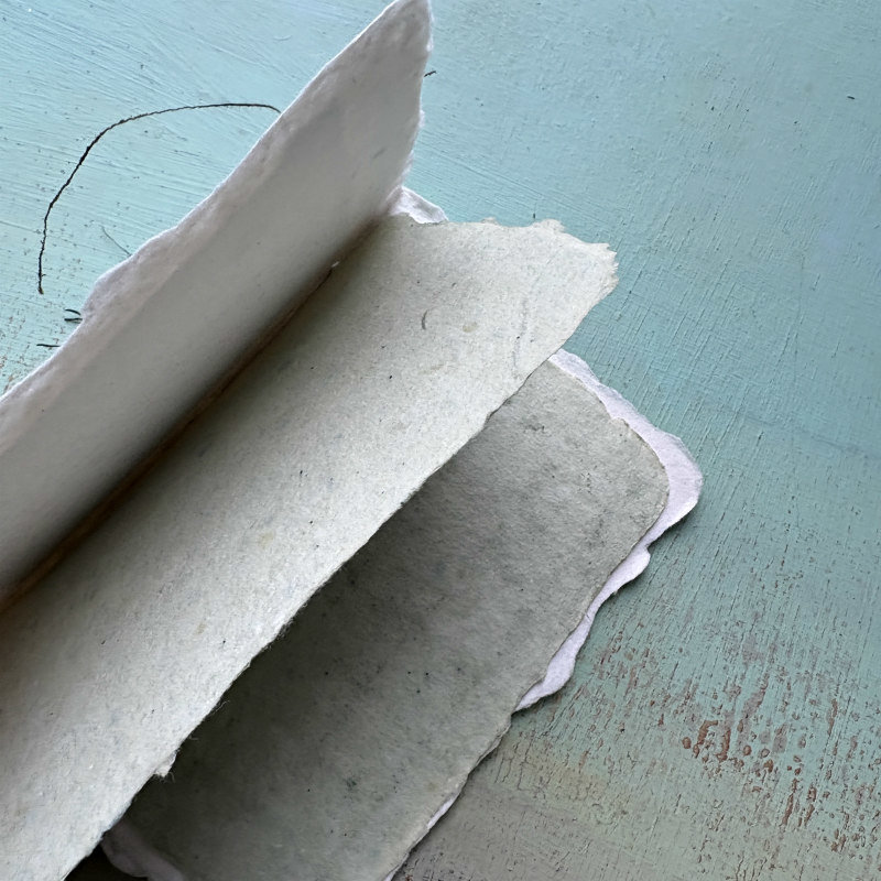 Book Bits: A View to the Past