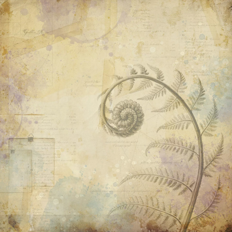PREORDER: 7 Dots Studio Paper Pad: Botanica