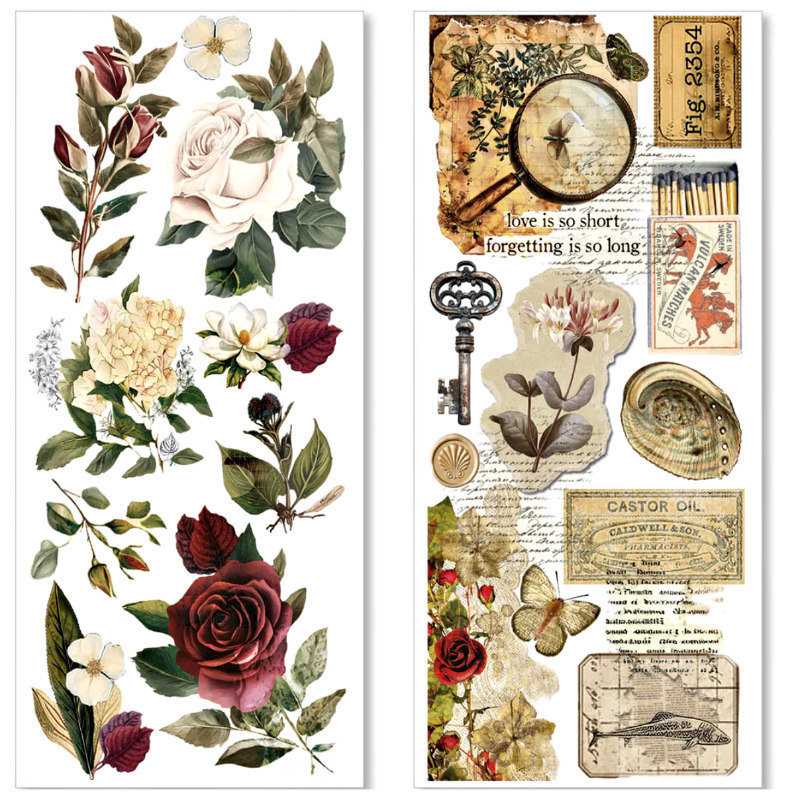 Ciao Bella Adhesive Sheets: Cabinet of Curiosities