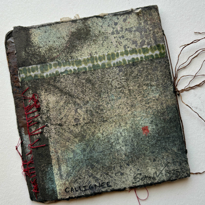 Callignee: Original Mixed Media Artist Book