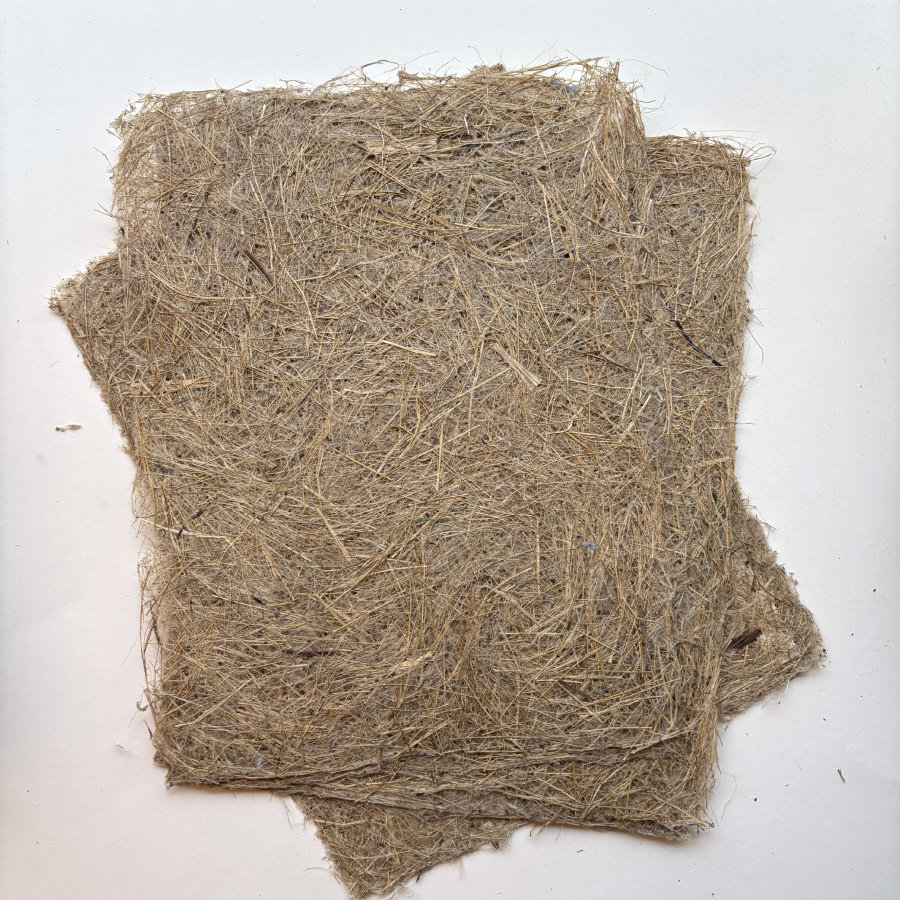 Natural Handmade Paper: Gladiolus Leaf 