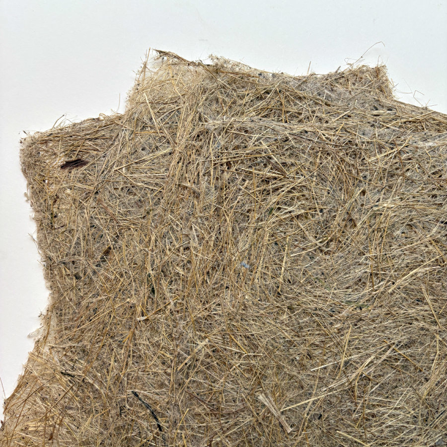 Natural Handmade Paper: Gladiolus Leaf 