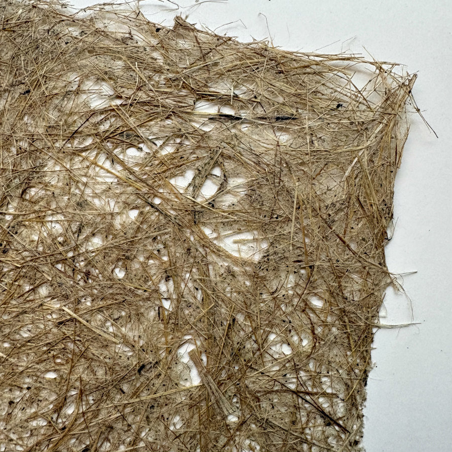 Natural Handmade Paper: Gladiolus Leaf 