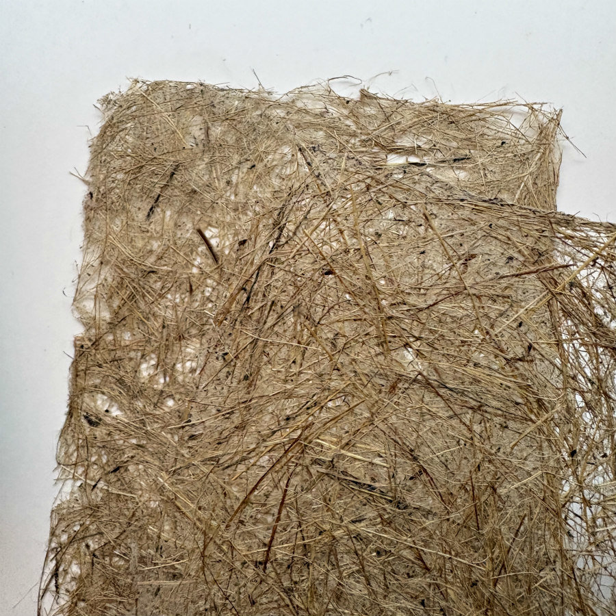 Natural Handmade Paper: Gladiolus Leaf 