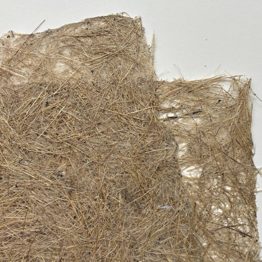 Natural Handmade Paper: Gladiolus Leaf 