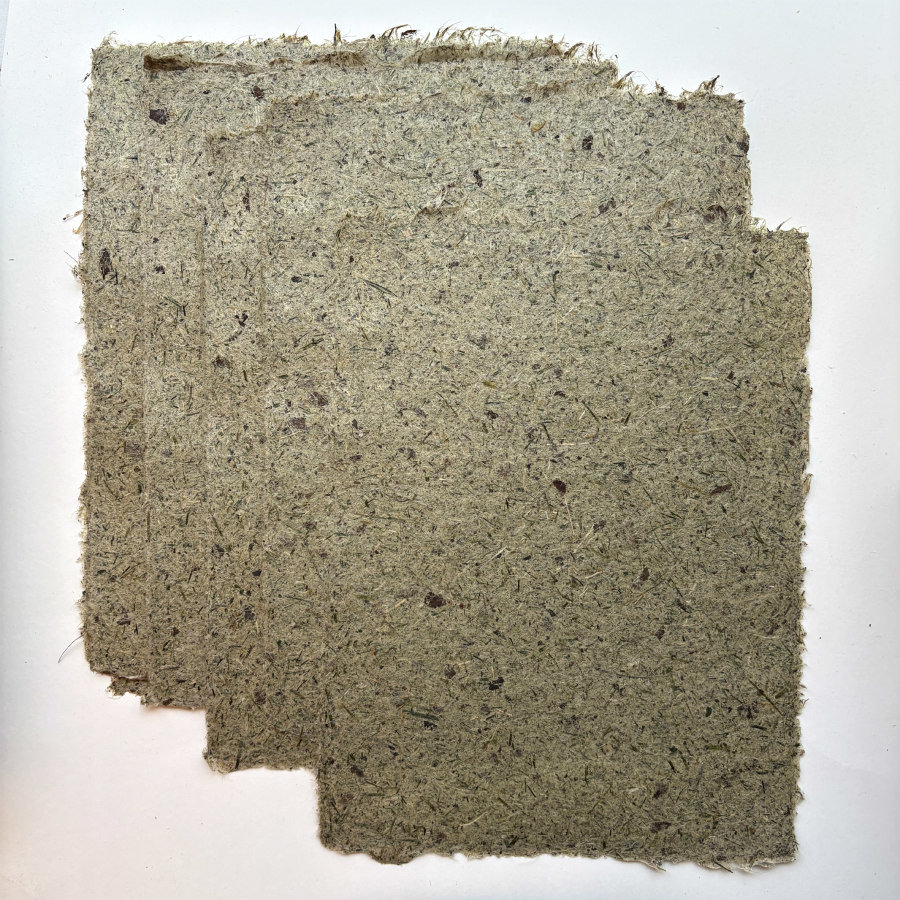 Natural Handmade Paper: Lawn Grass