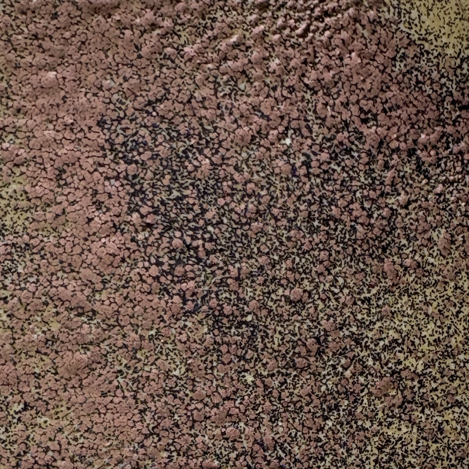 WOW Embossing Powder Quad: Forged Relics