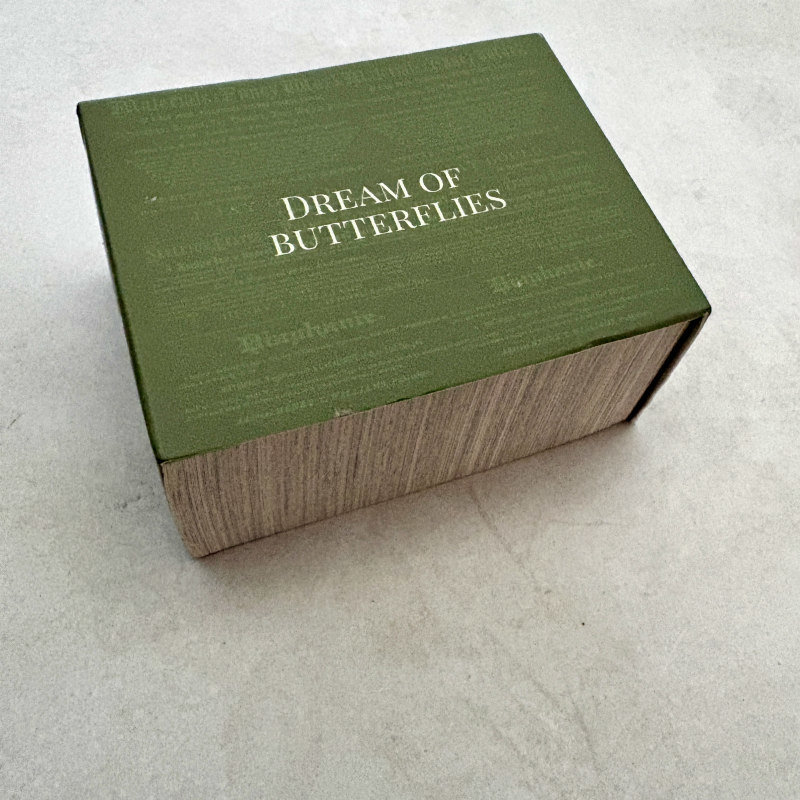 Mini Jumbo Book Block: Dream of Butterflies