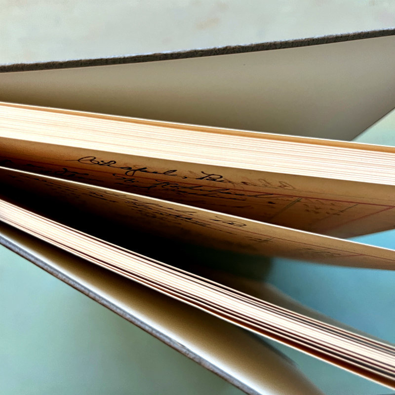 Dina Wakley Reproduction Ledger Journal