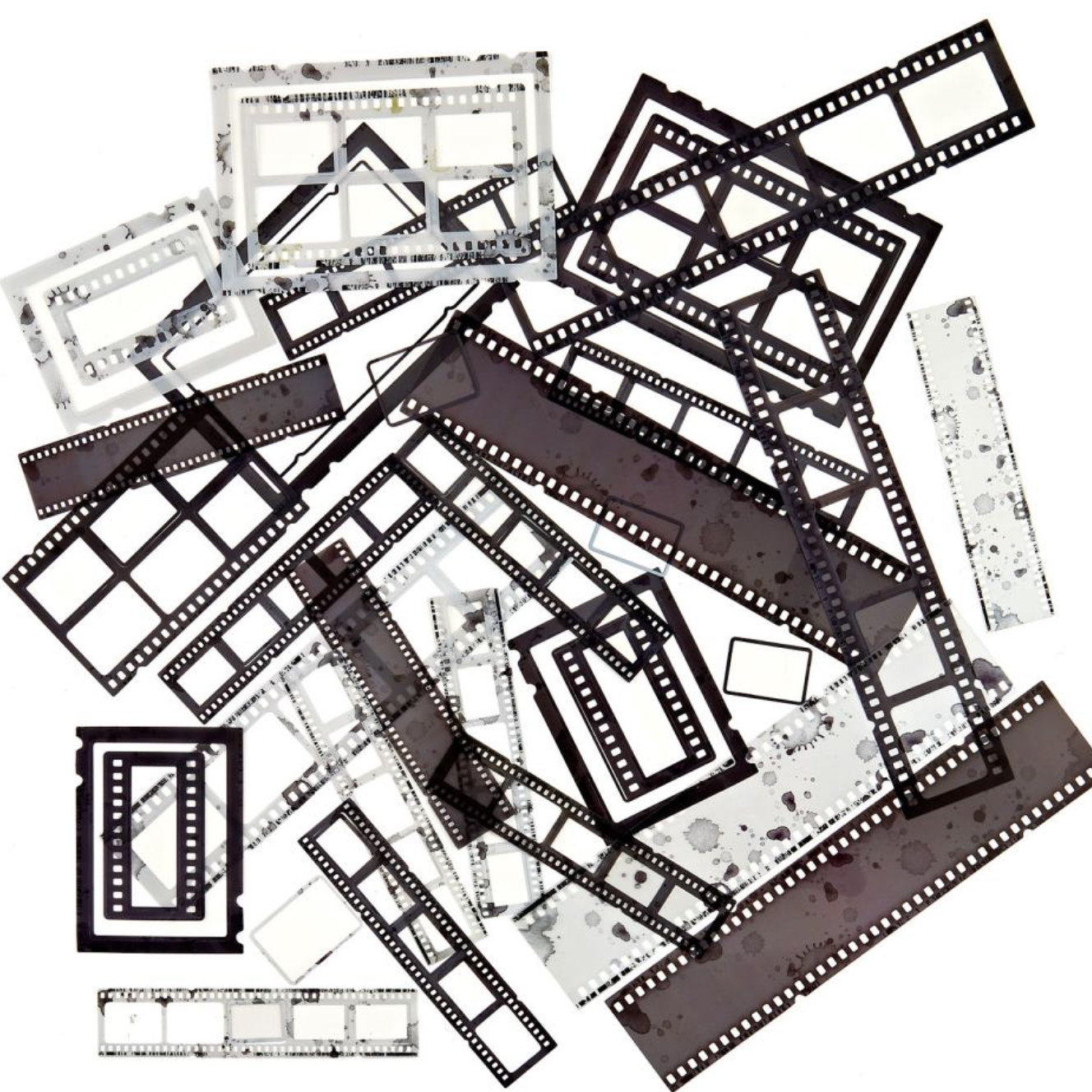 9 and Market Filmstrip Frames: Spectrum Gardenia