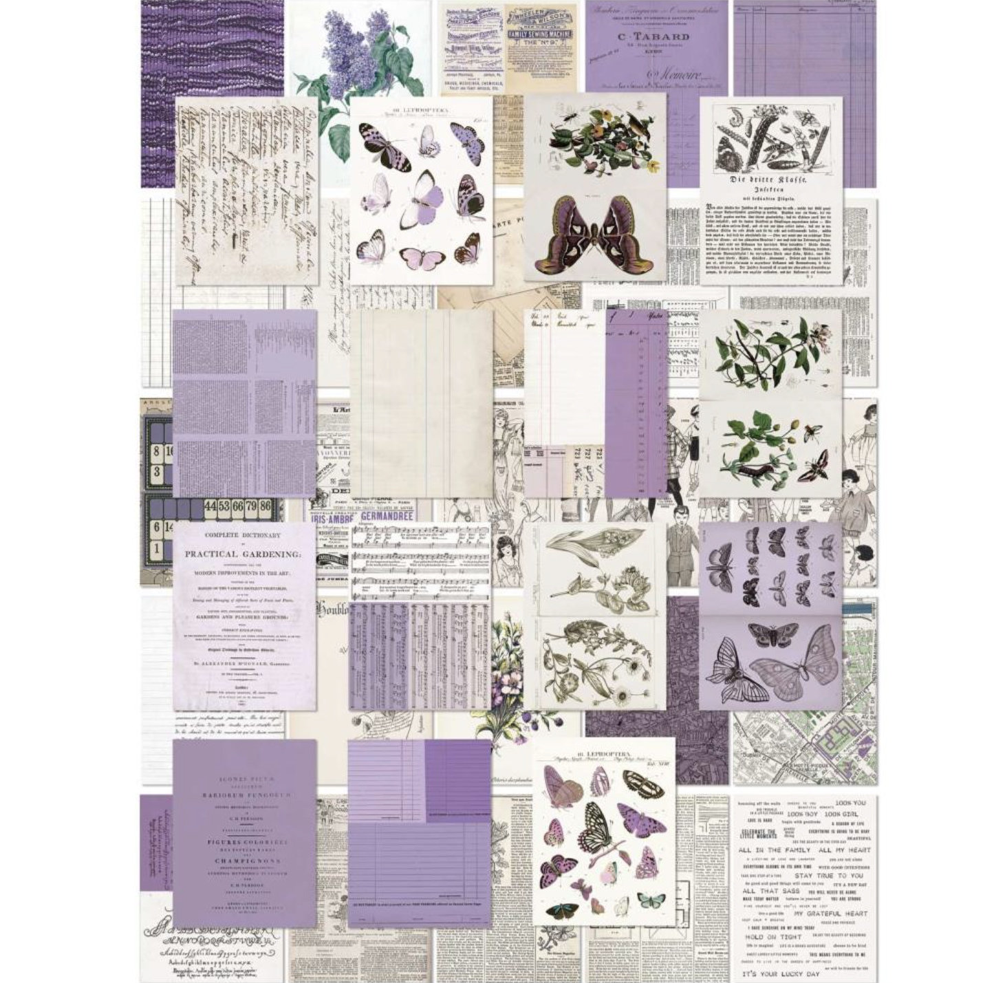 49 and Market Collage Sheets: Lavender
