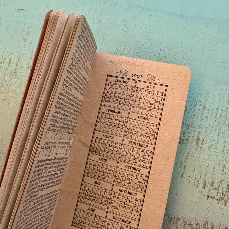 1903 Rasin-Monumental Fertilizers Booklet 