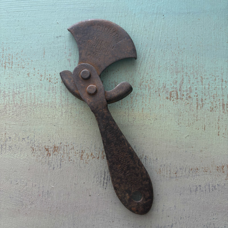 SOLD: Vintage Fruit Can Wrench