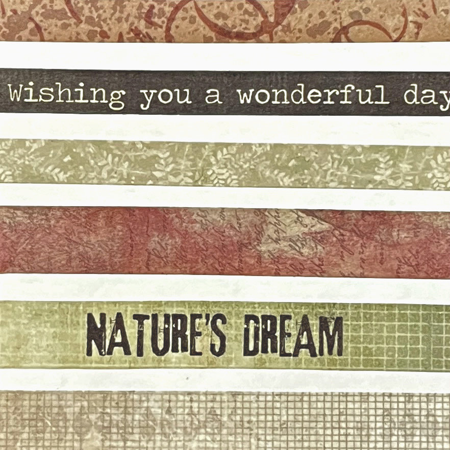 Studio Light Washi Tape: Nature's Dreams