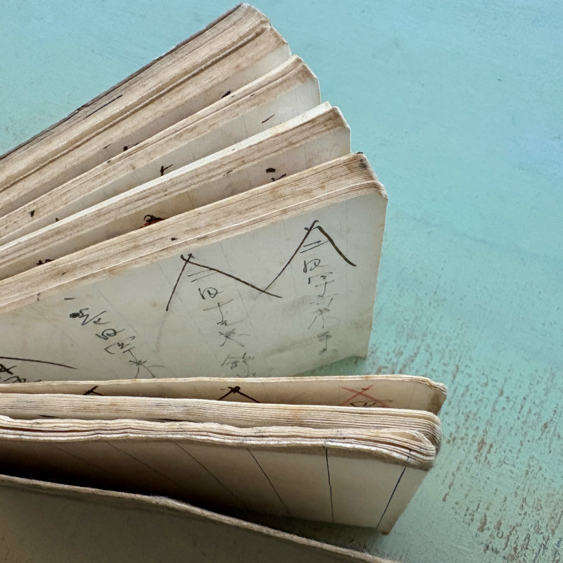 SOLD: Antique Japanese Ledger Book 1