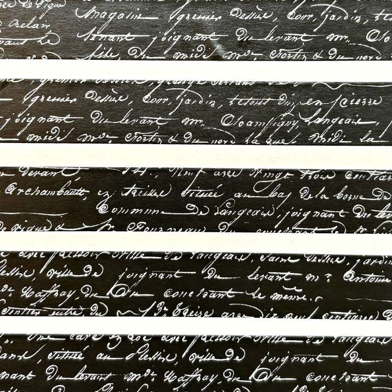 Lauren Phelps Designs Washi Tape: French Text Black