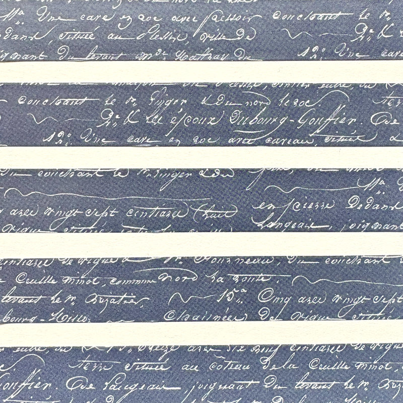Lauren Phelps Designs Washi Tape: French Text Steele