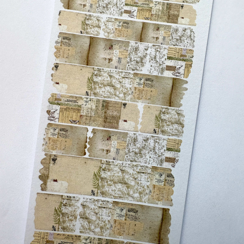 Lauren Phelps Designs Washi Strips: Transcripts