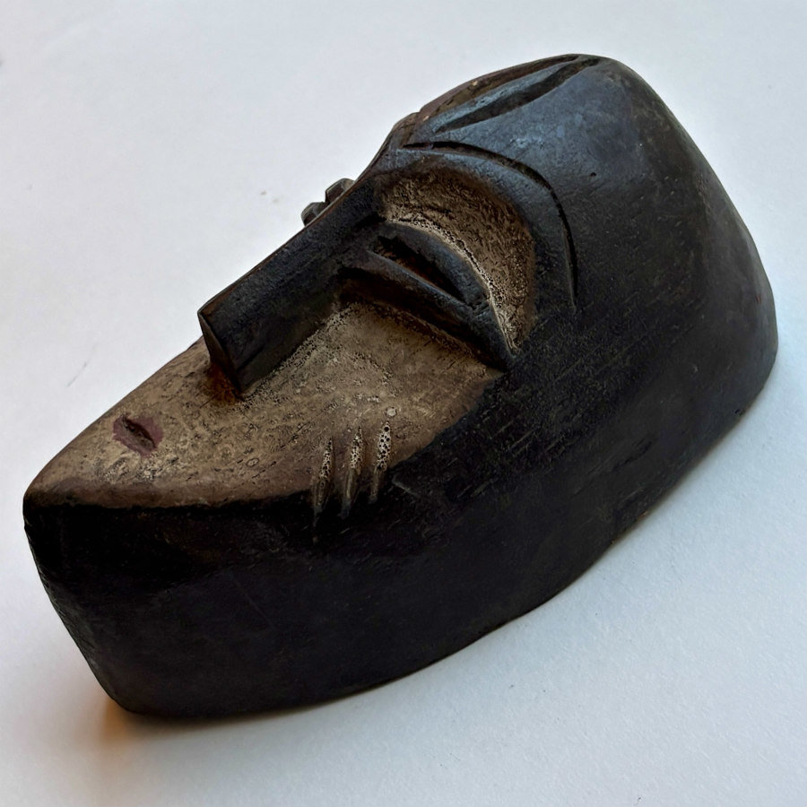 Passport Mask 3