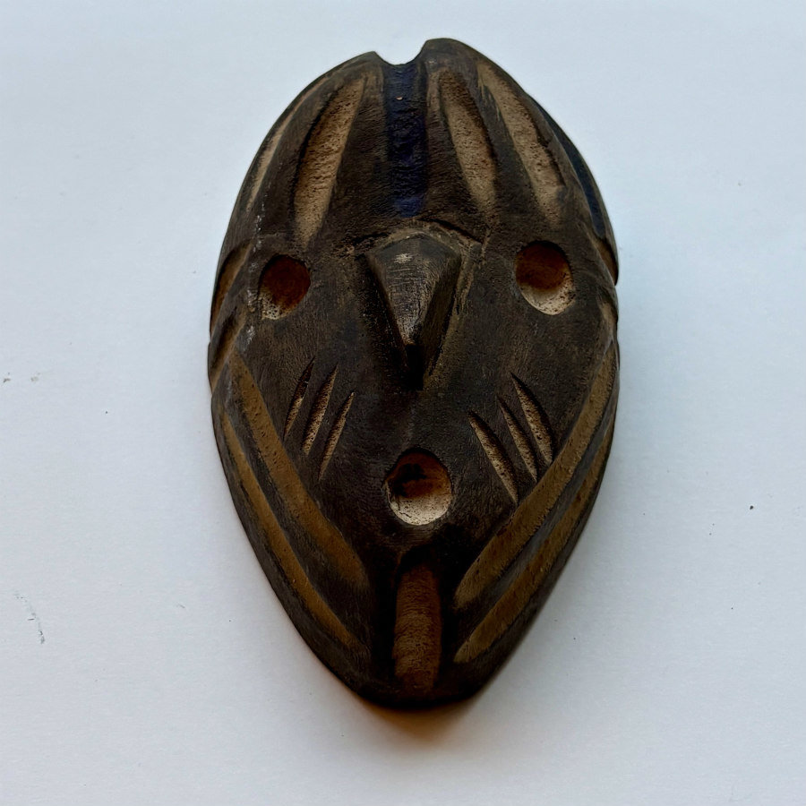 Passport Mask 4